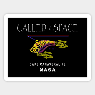 Cape Canaveral Florida, NASA Called 2 Space, Lure of Space Sticker